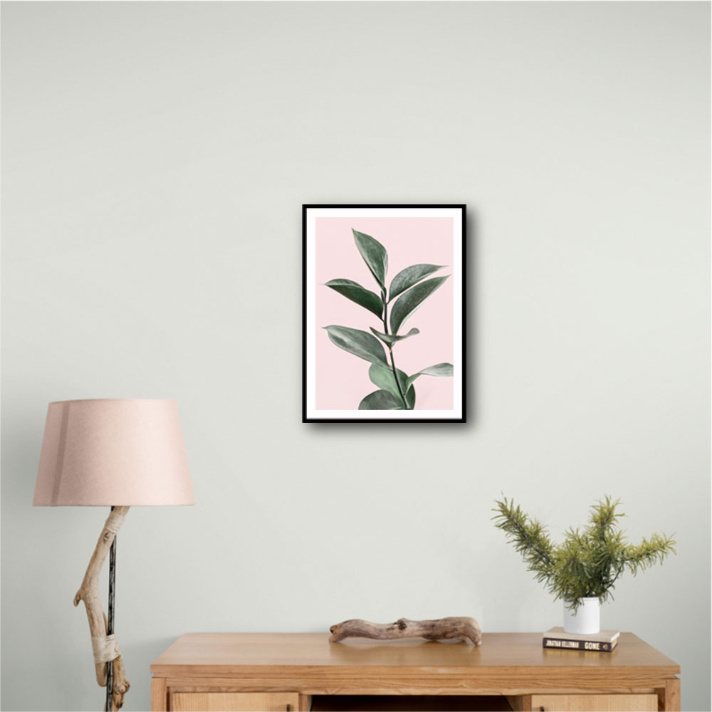 Foliage on Pink