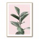 Foliage on Pink