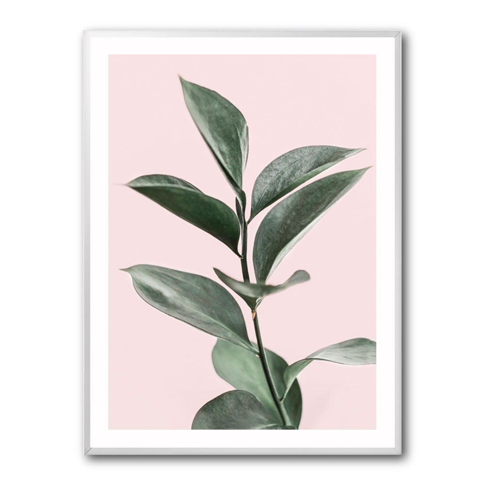 Foliage on Pink