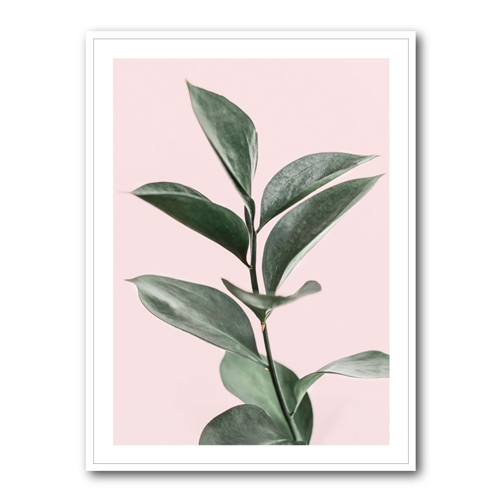 Foliage on Pink