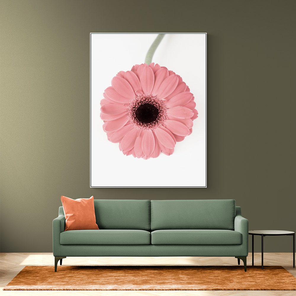 Pink Gerbera II