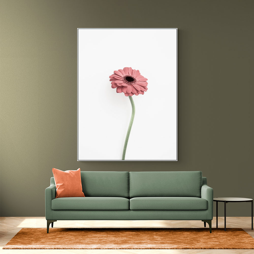 Pink Gerbera