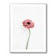 Pink Gerbera