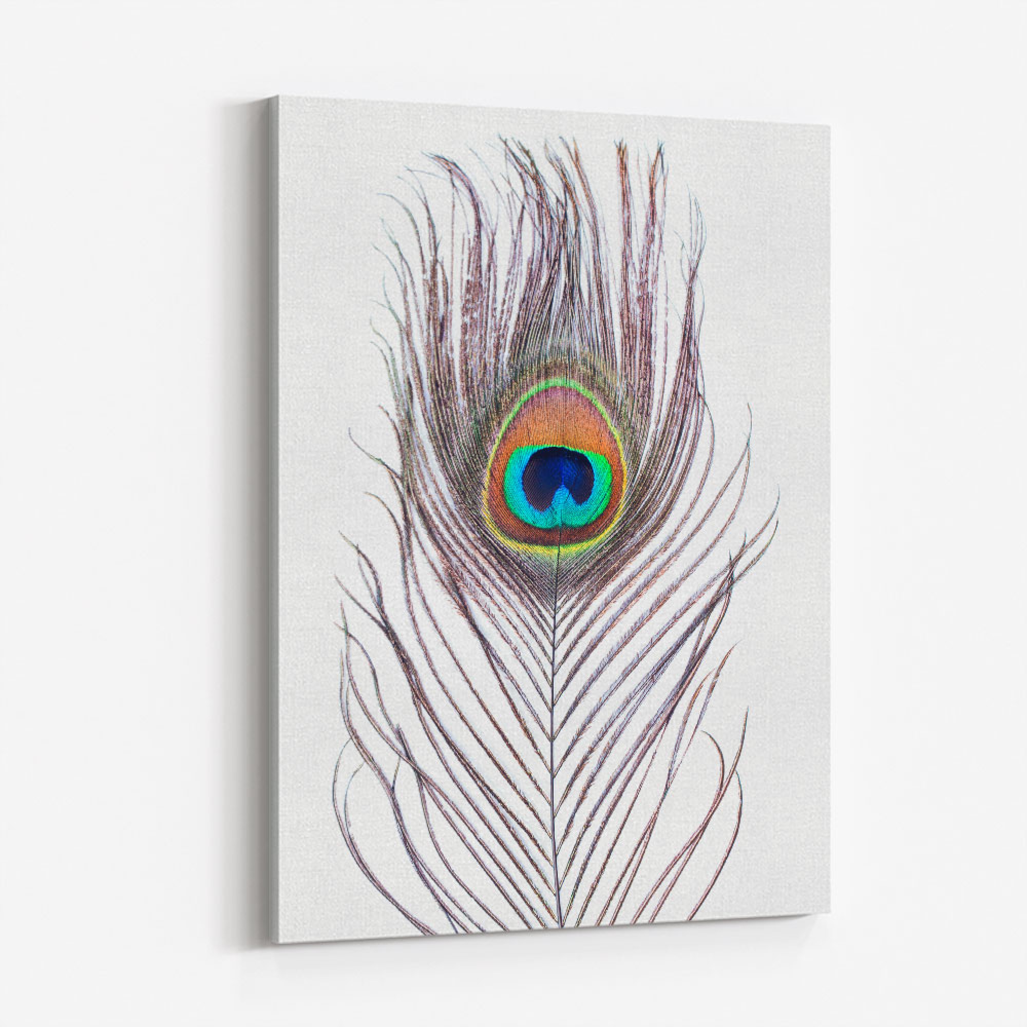 Peacock Feather Wall Art