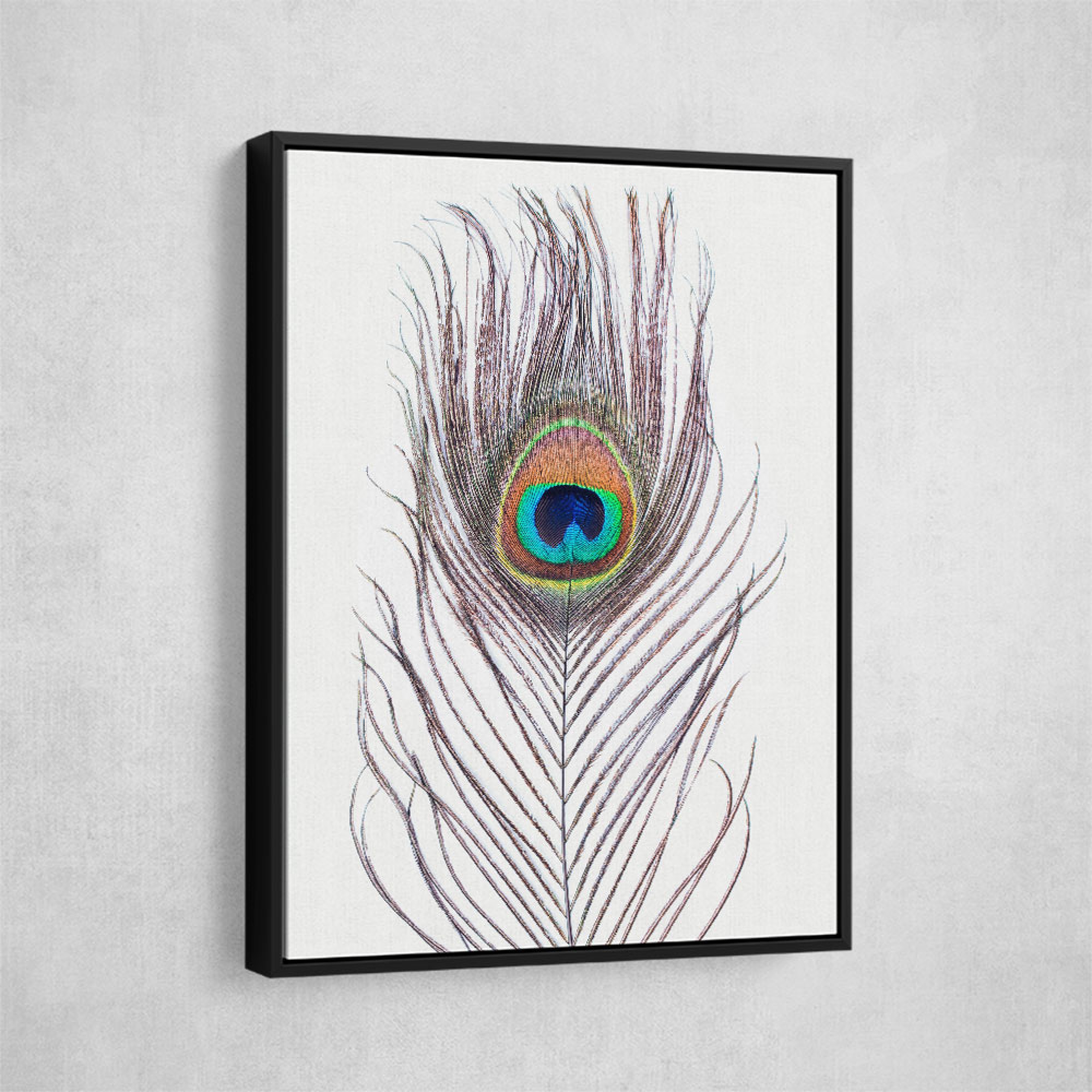 Peacock Feather Wall Art