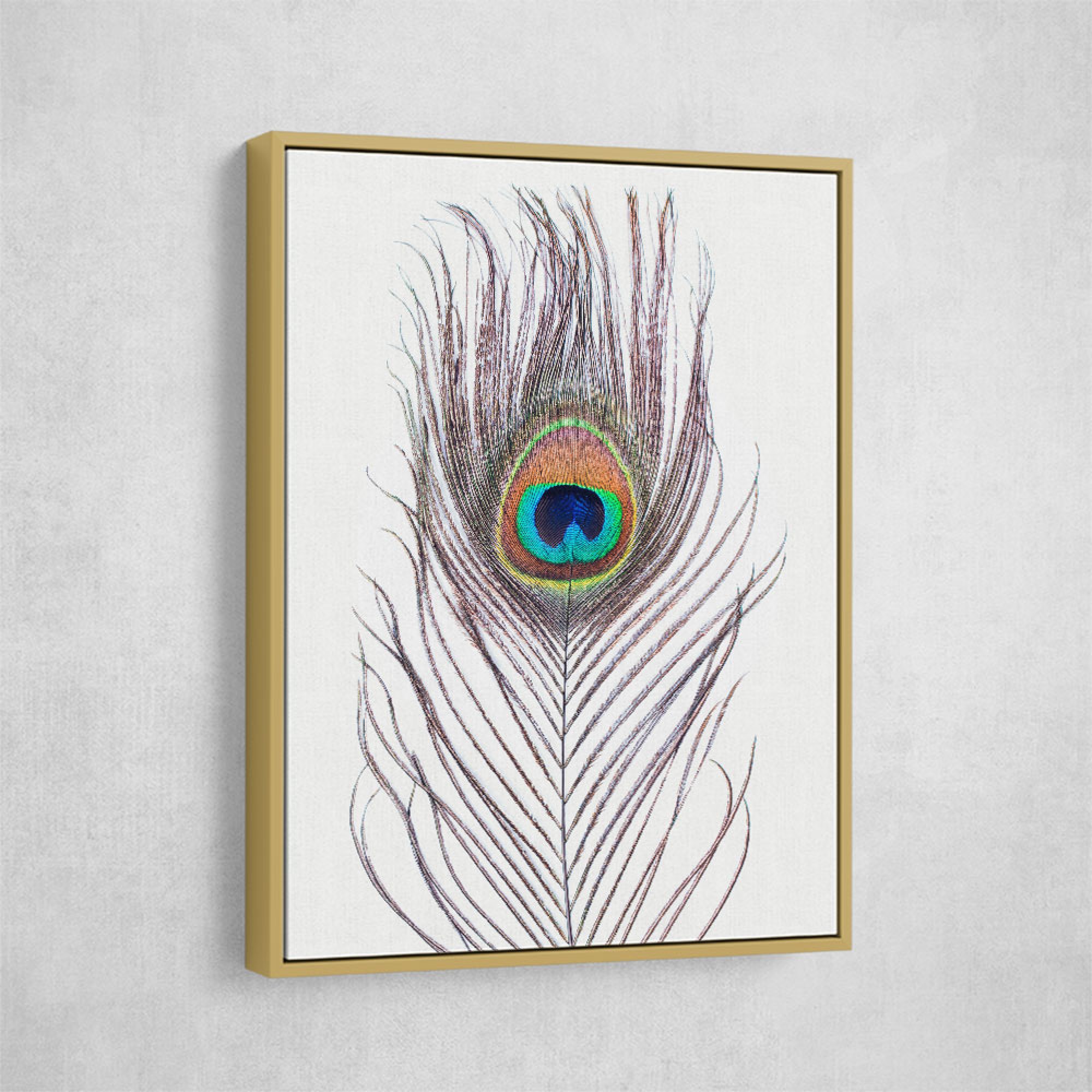 Peacock Feather Wall Art