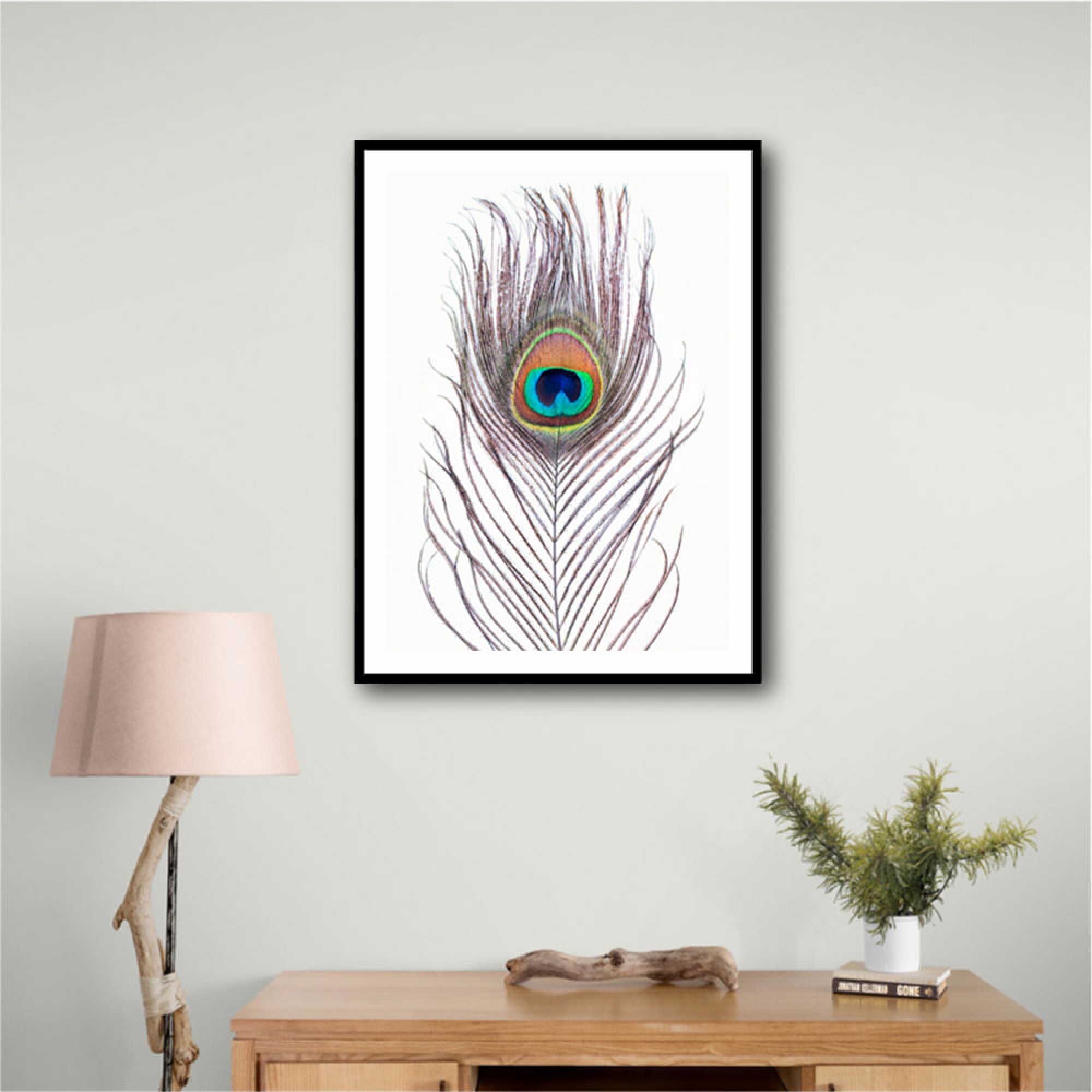 Peacock Feather Wall Art