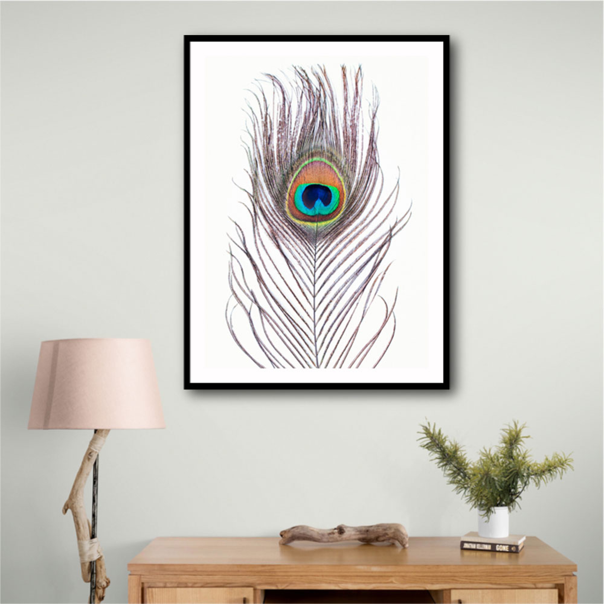 Peacock Feather Wall Art