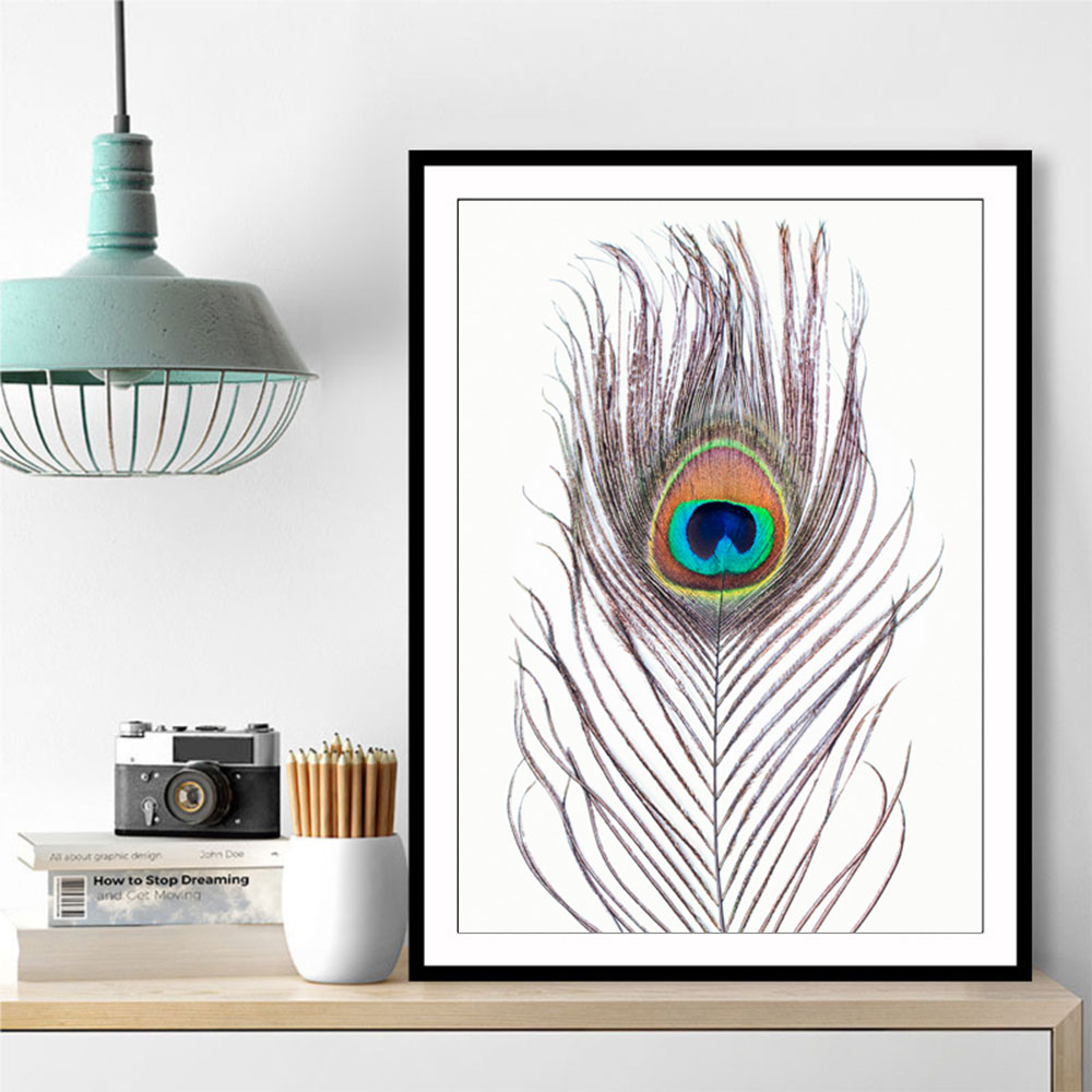 Peacock Feather Poster