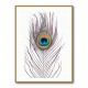 Peacock Feather