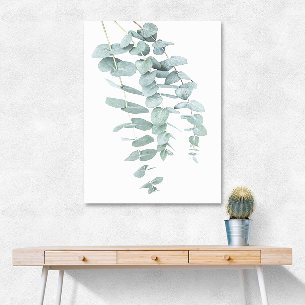 Eucalyptus I