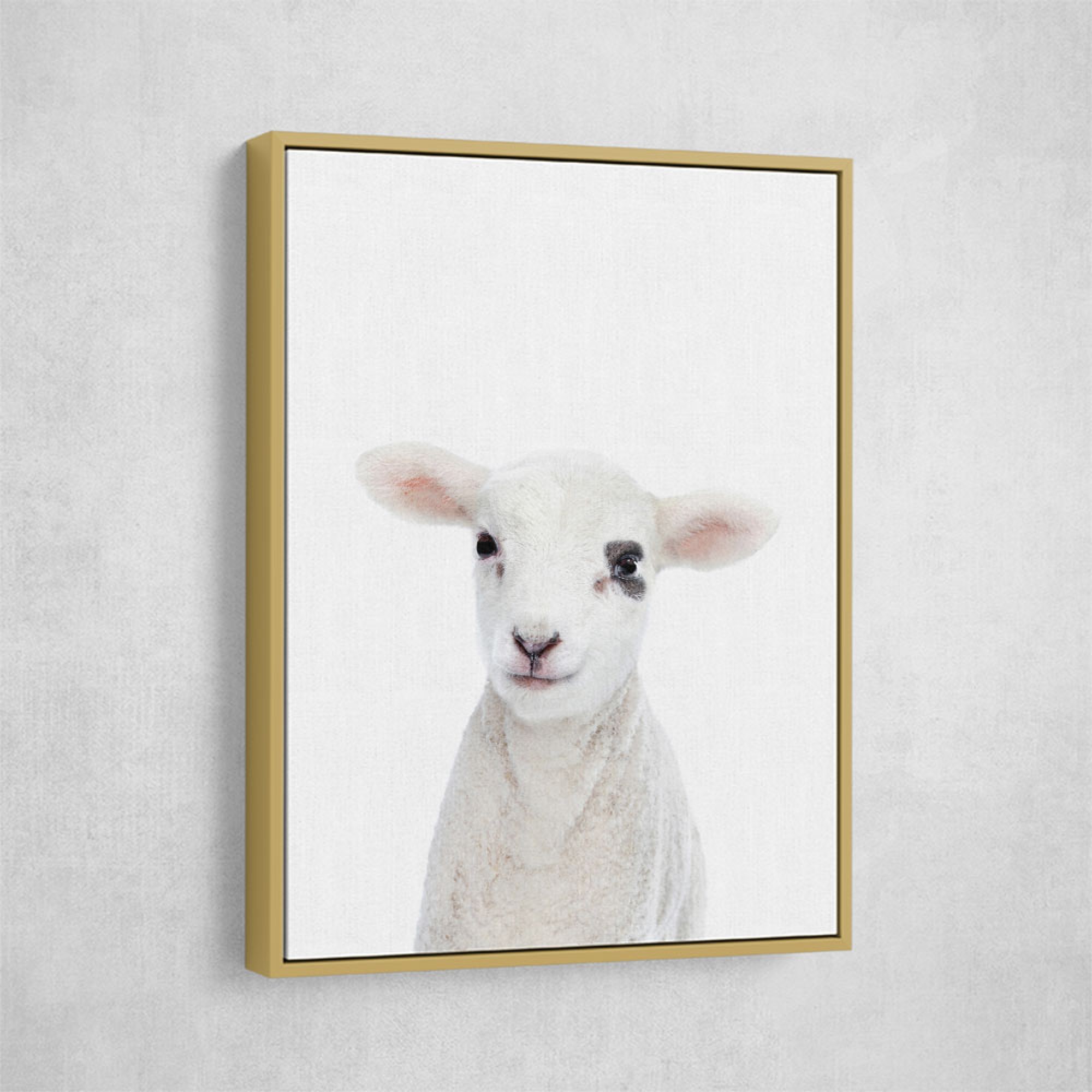 Baby Lamb Wall Art