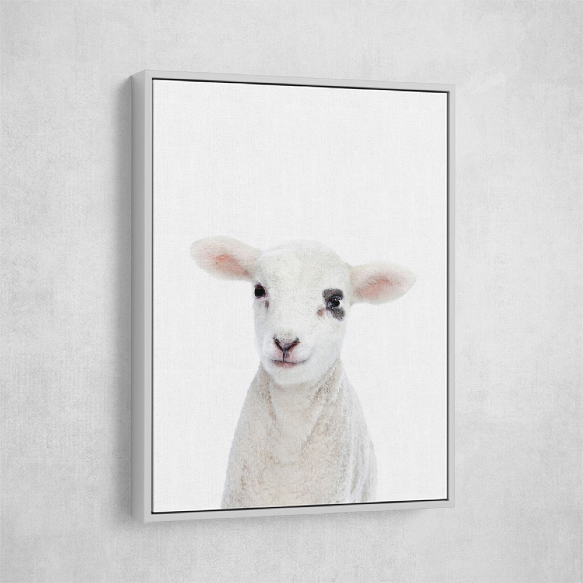 Baby Lamb Wall Art