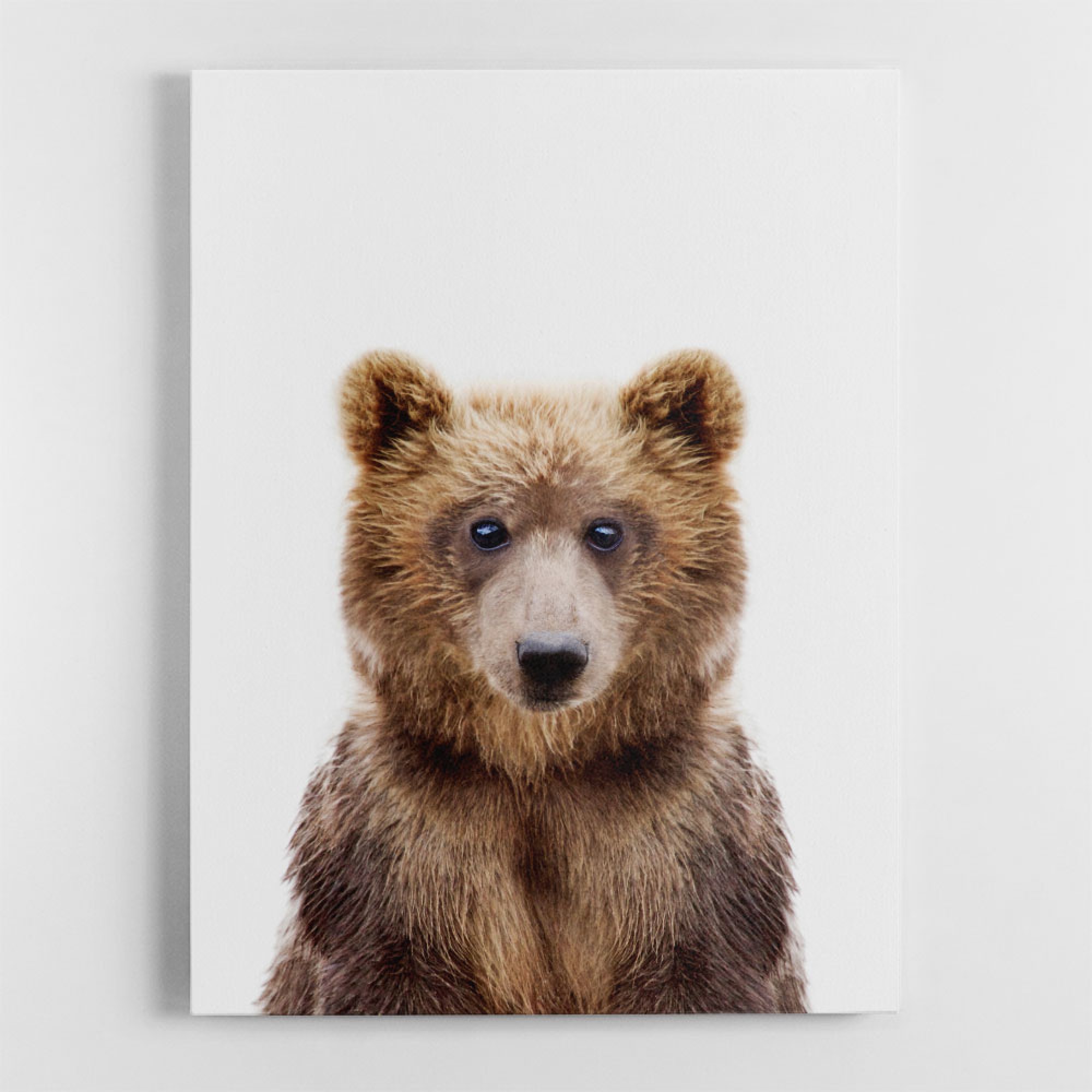 Baby Bear Wall Art