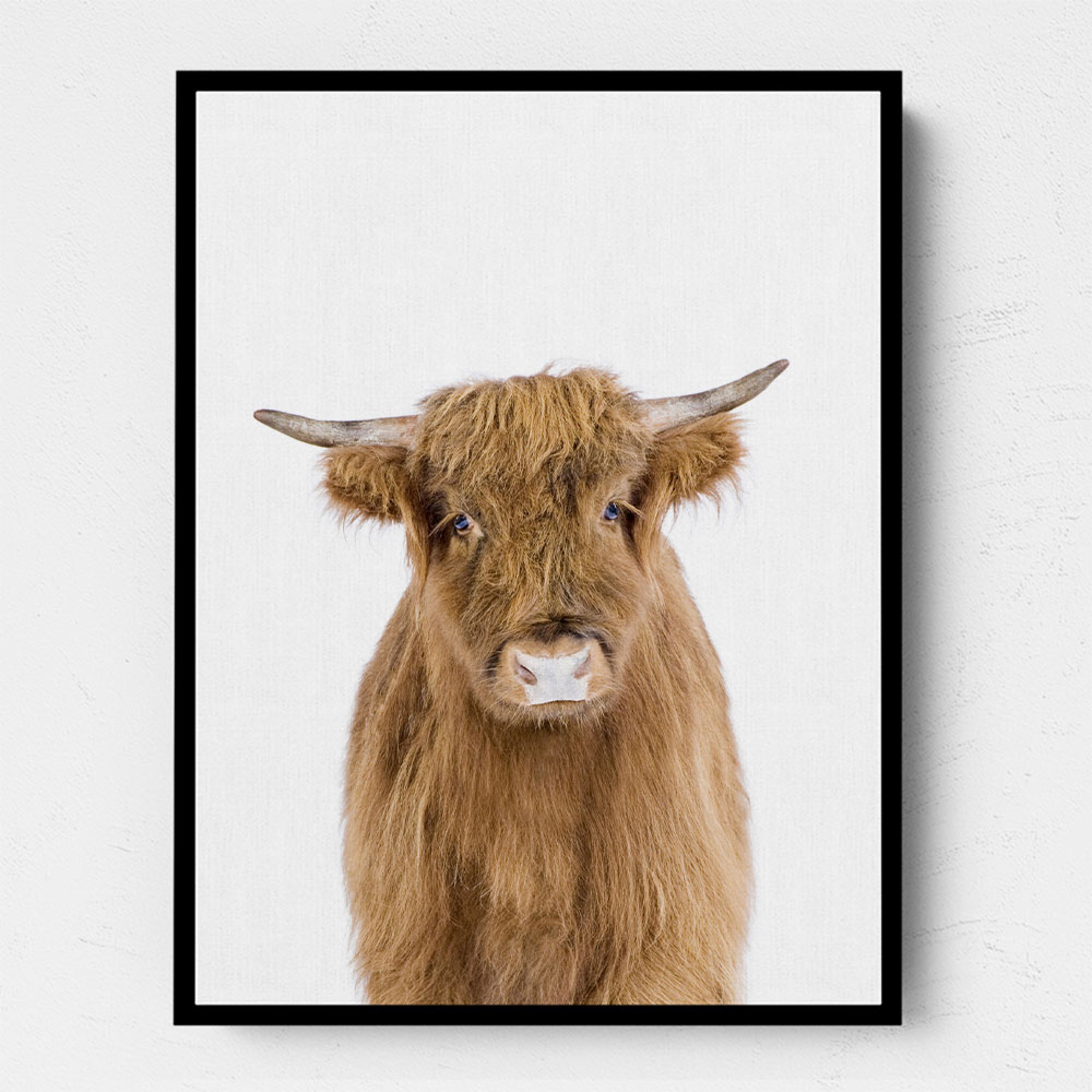 Baby Cow Wall Art