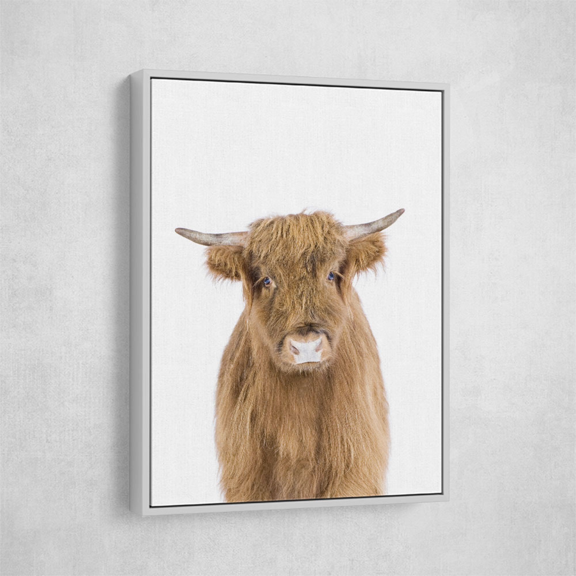 Baby Cow Wall Art