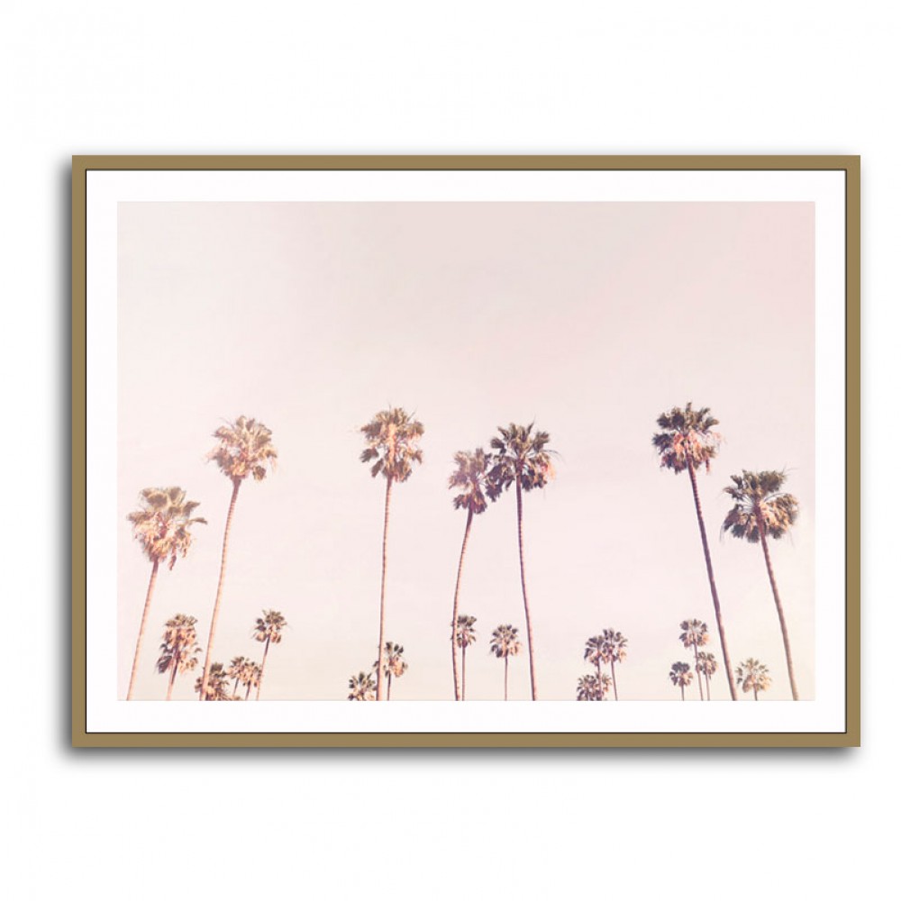 Sunny Cali Palm Trees