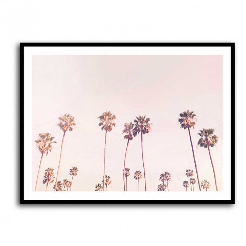 Sunny Cali Palm Trees