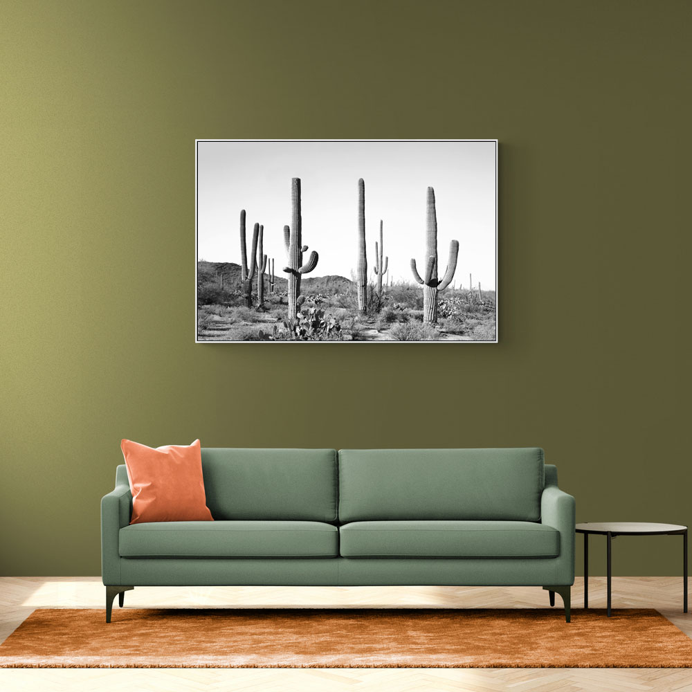 Grey Cactus Land