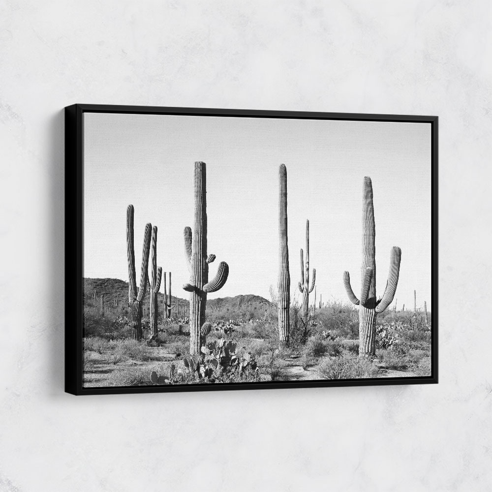 Grey Cactus Land