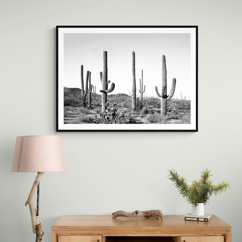 Grey Cactus Land