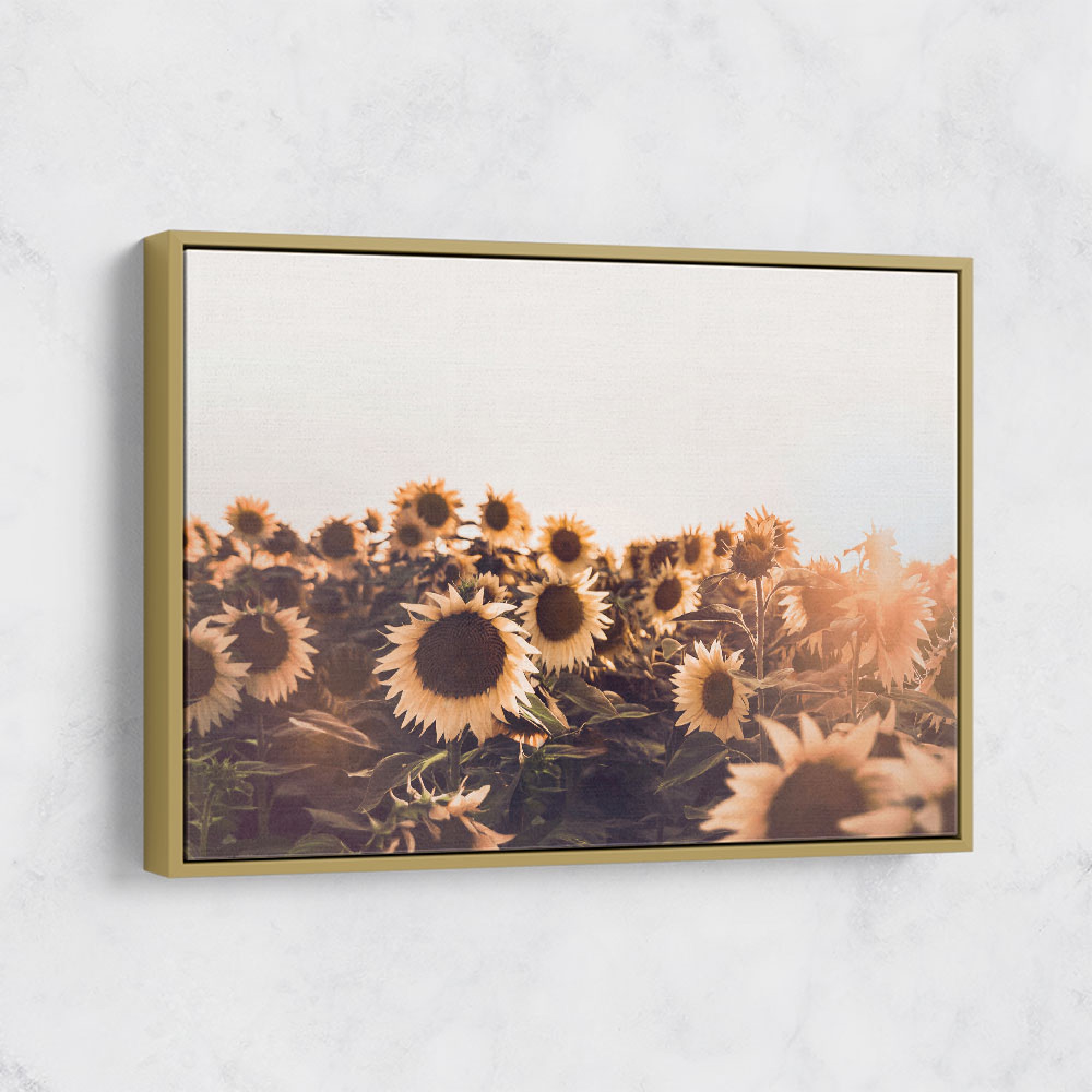 Sunflowers Wall Art