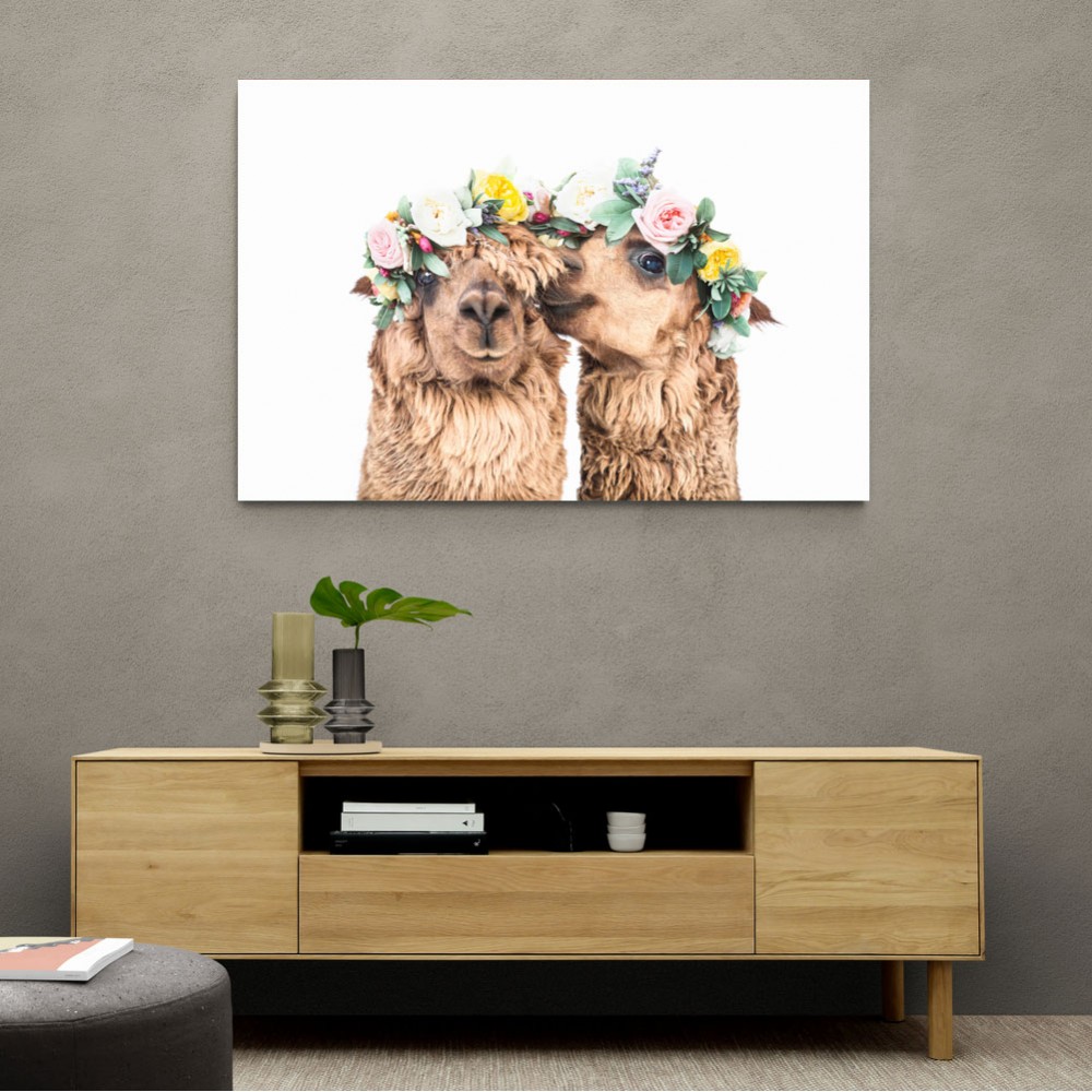 Boho Alpacas