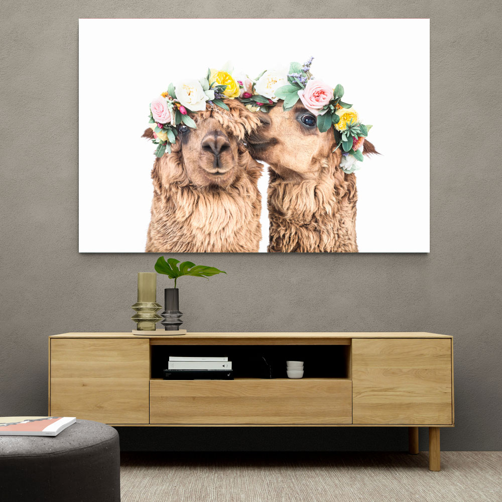 Boho Alpacas