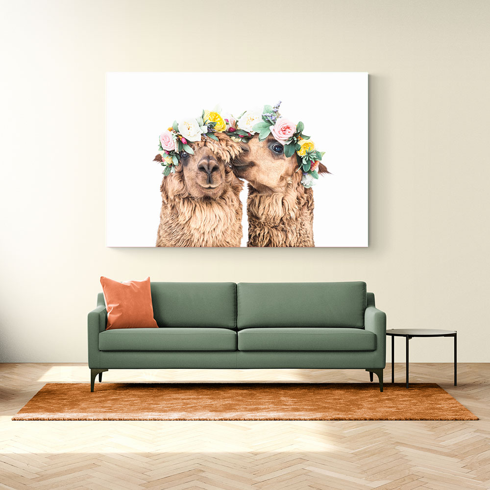 Boho Alpacas