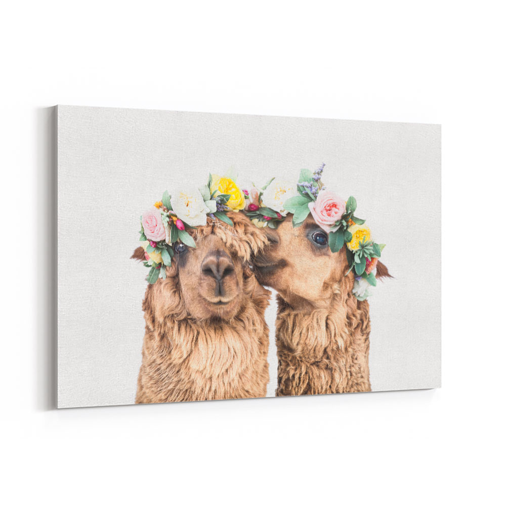 Boho Alpacas