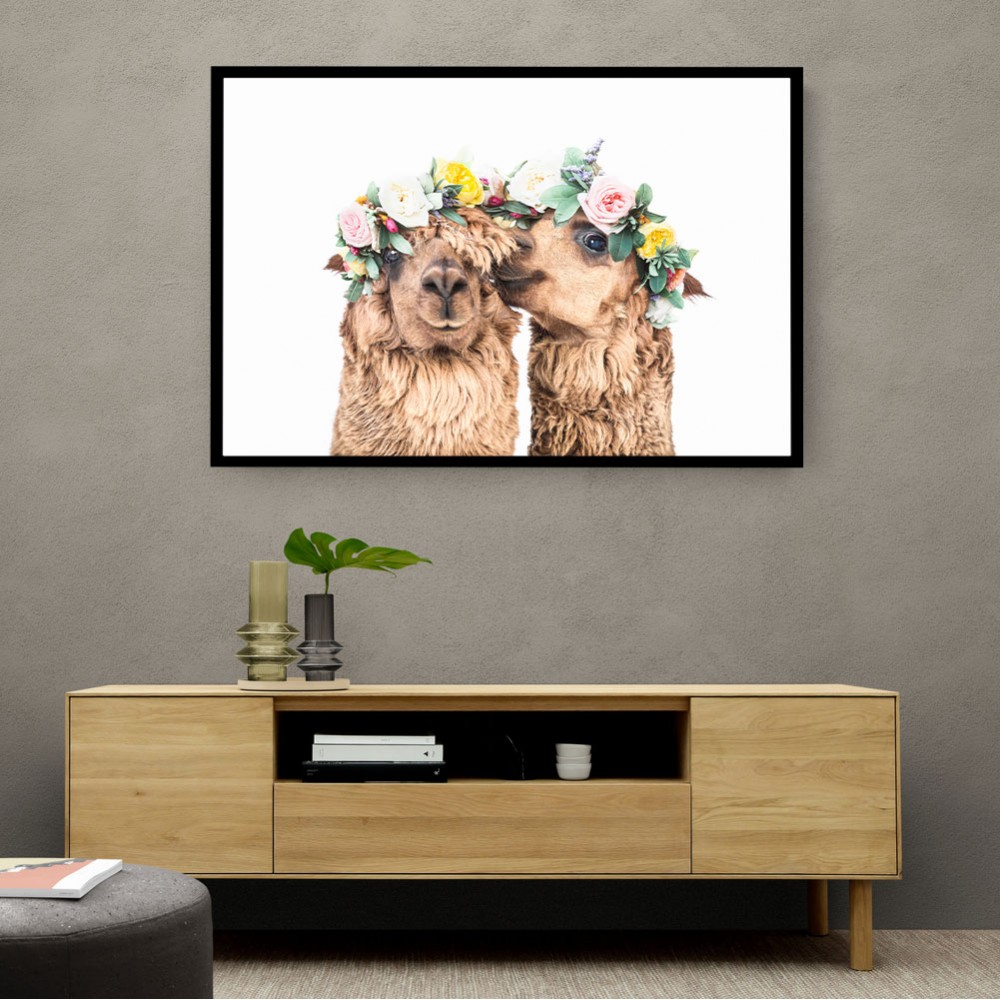 Boho Alpacas