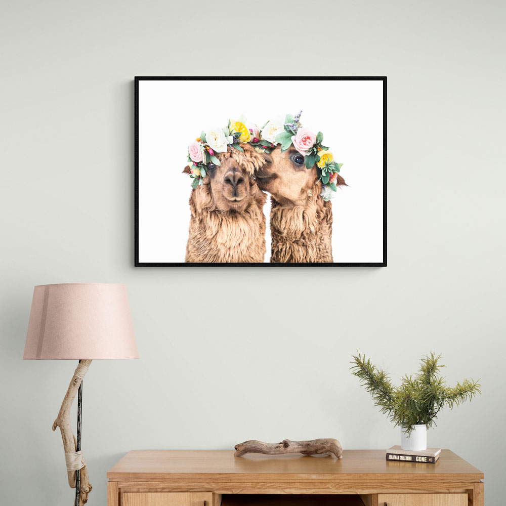 Boho Alpacas