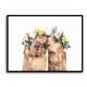 Boho Alpacas