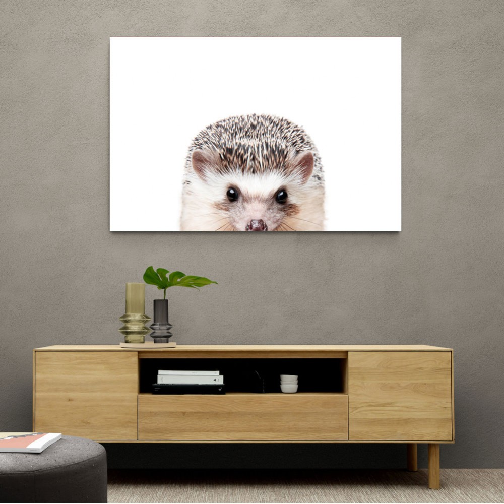 Peeking Hedgehog