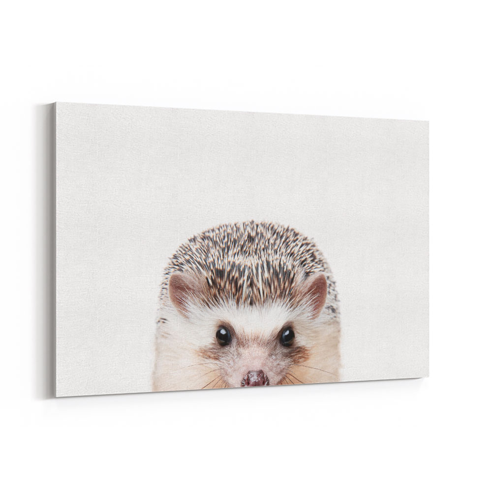 Peeking Hedgehog