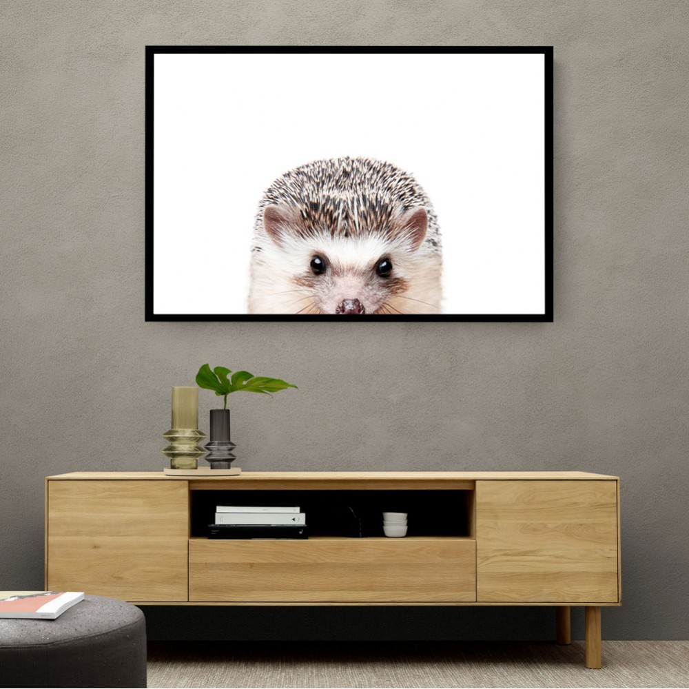 Peeking Hedgehog