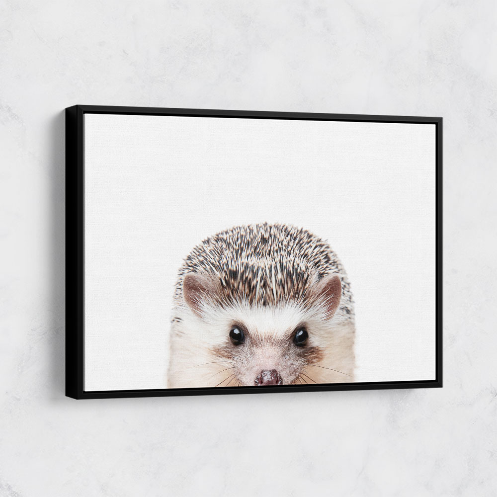 Peeking Hedgehog