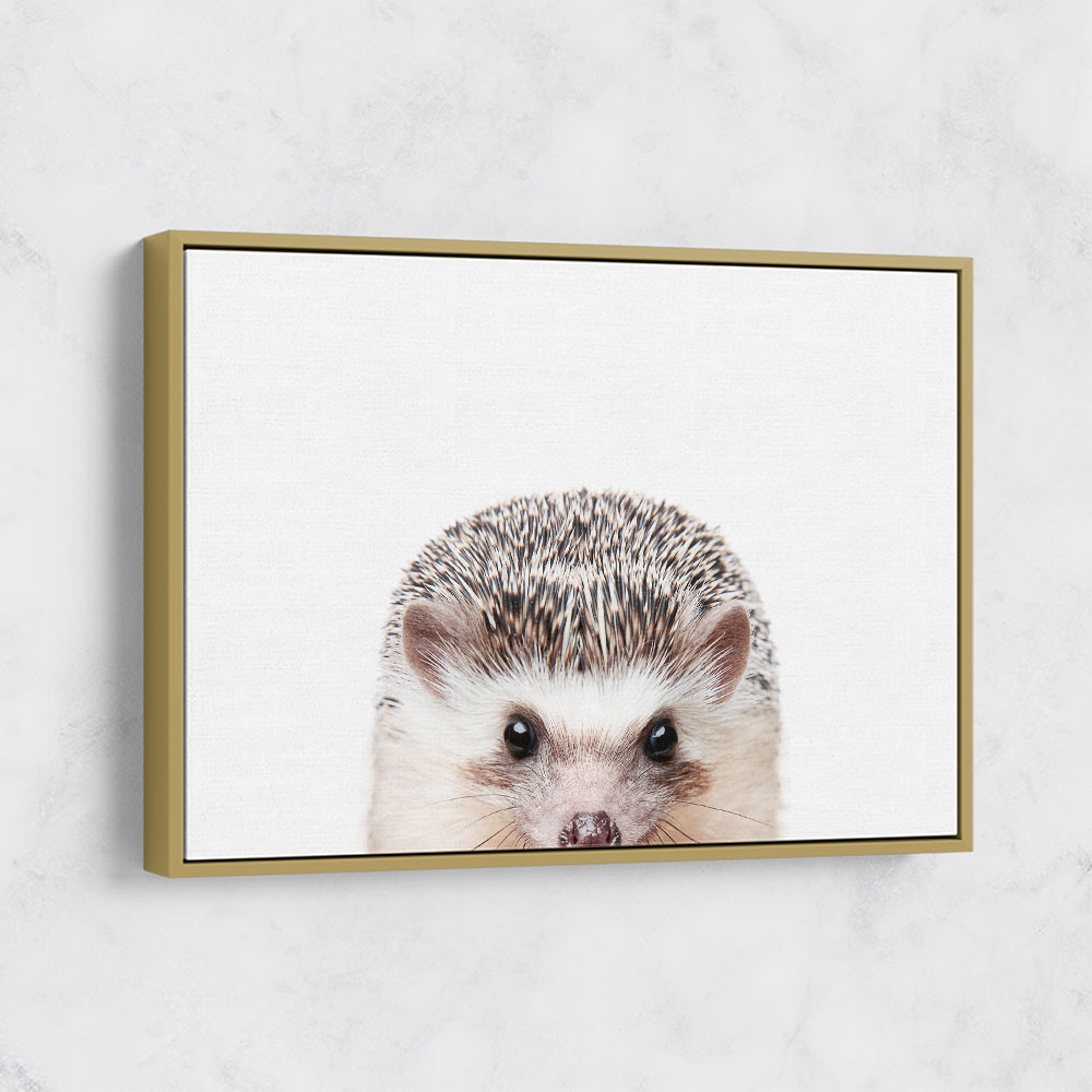 Peeking Hedgehog