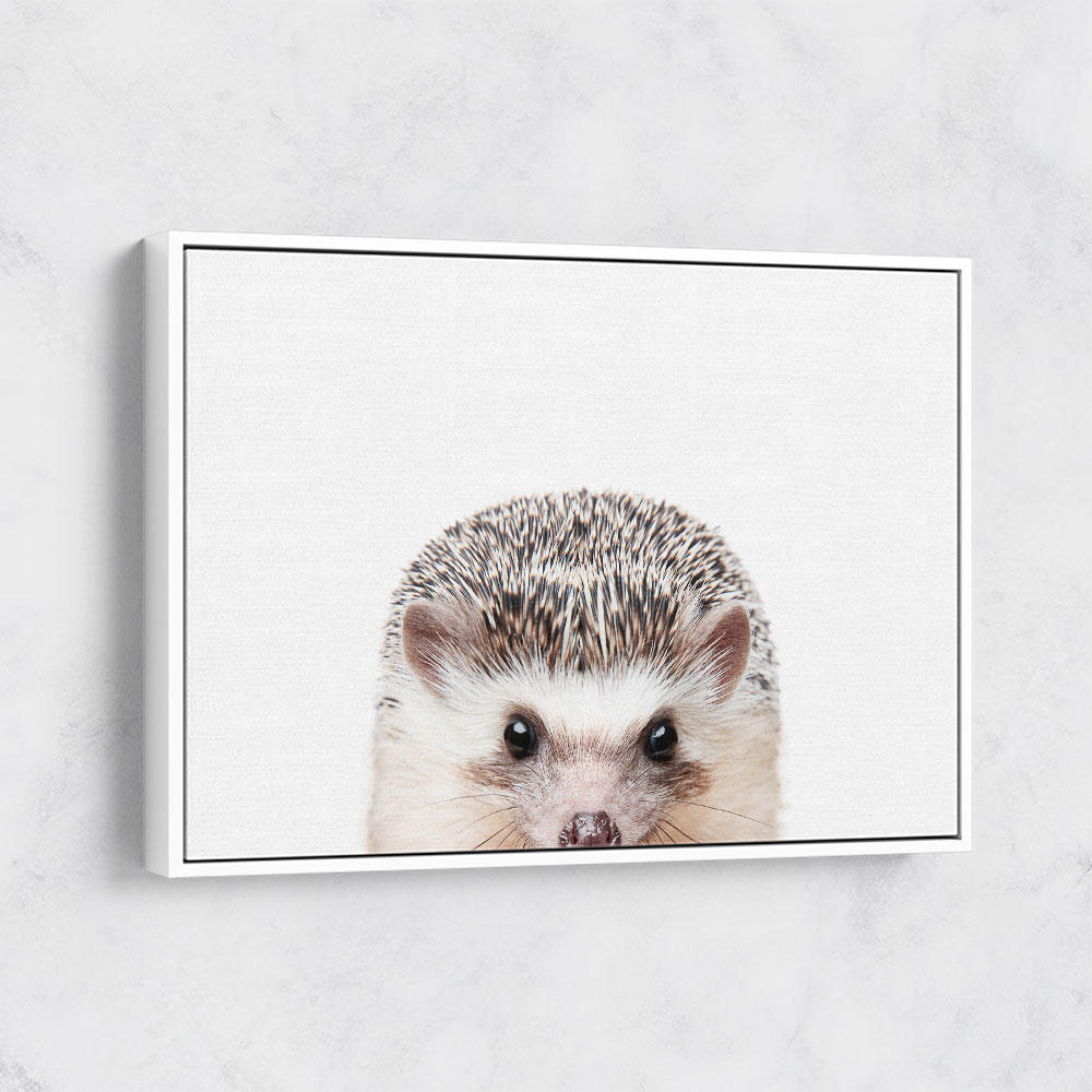 Peeking Hedgehog