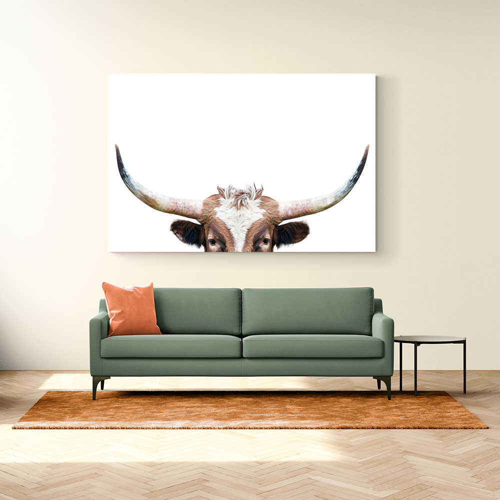 Peeking Longhorn Cow