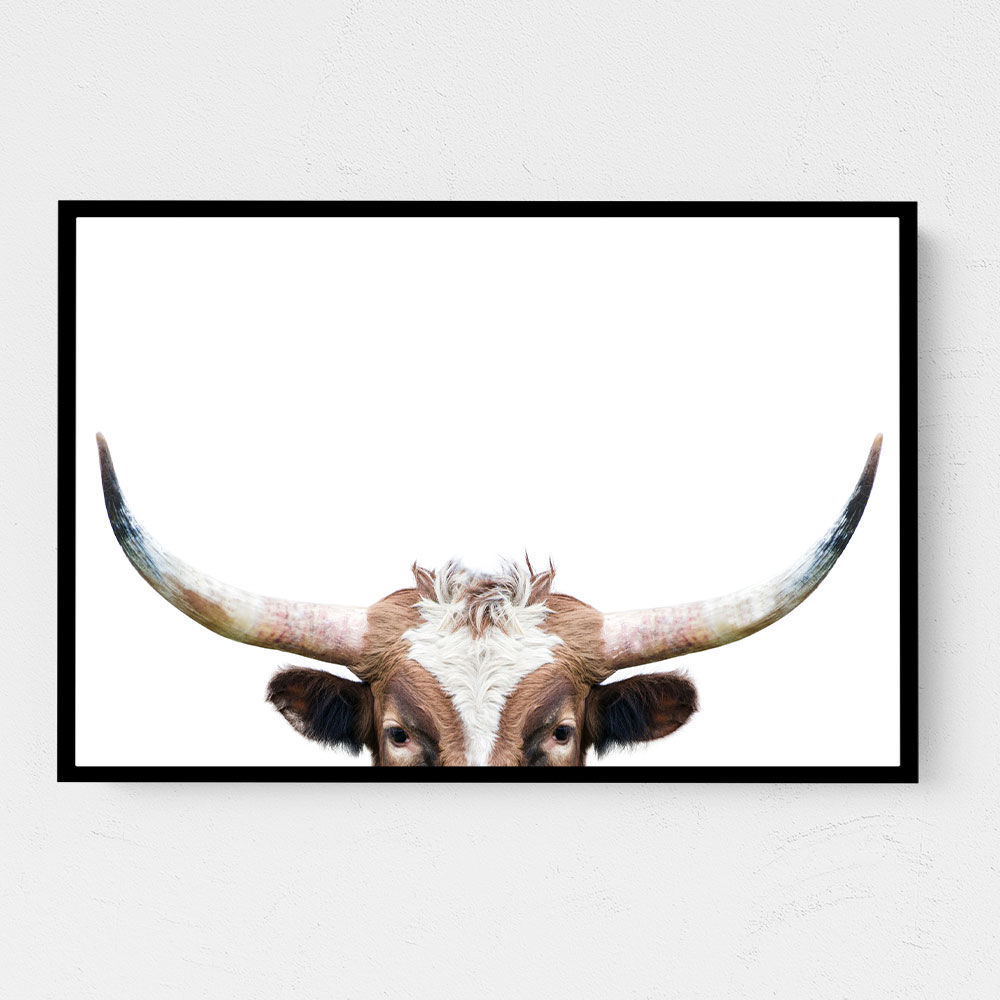 Peeking Longhorn Cow