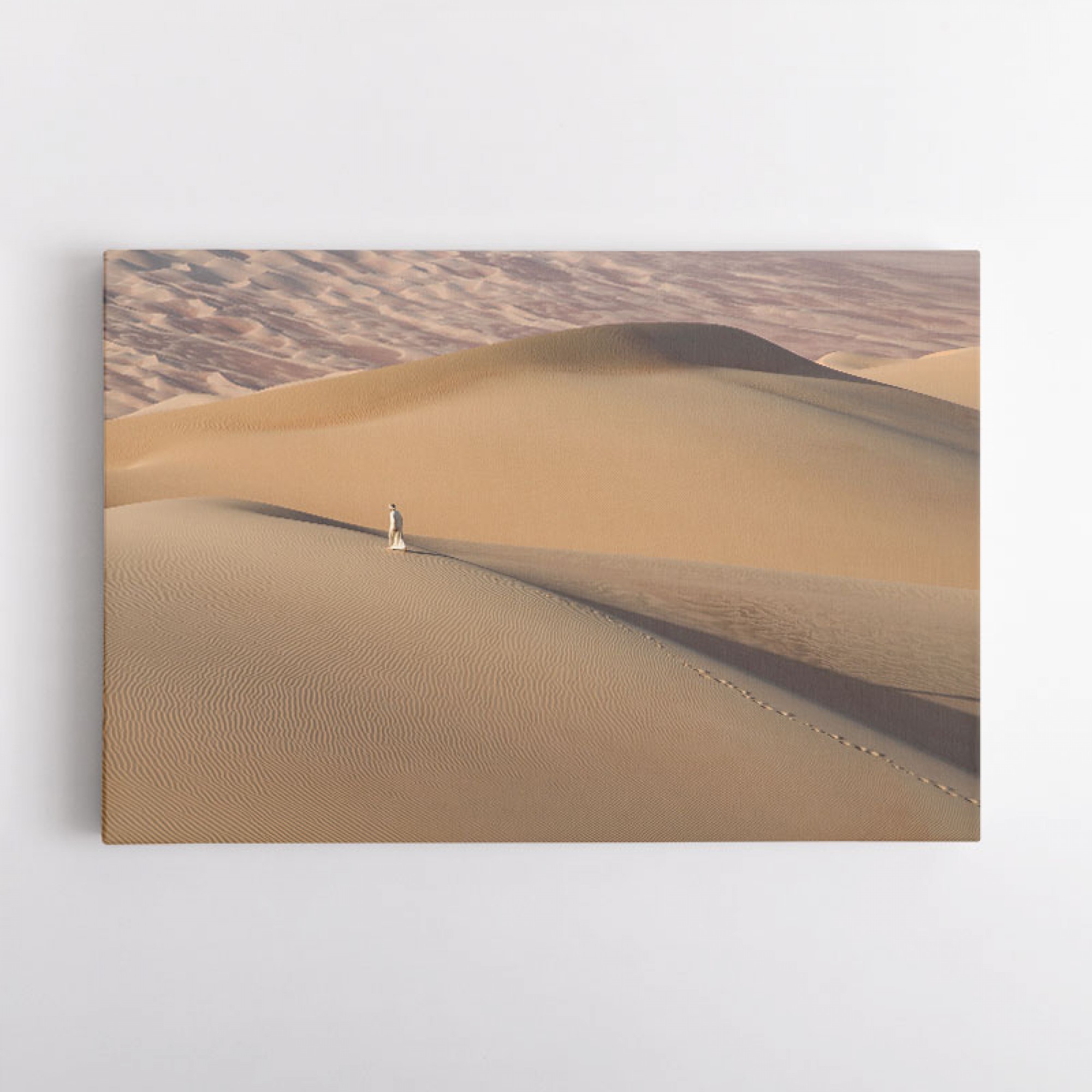 Walk In The Dunes Wall Art