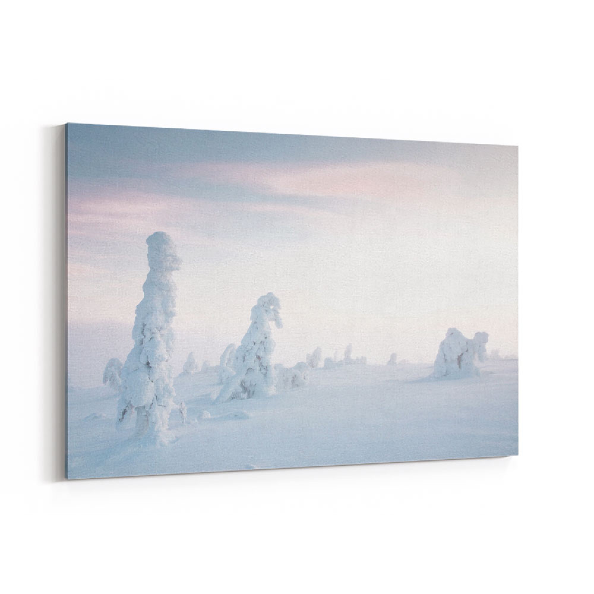 Frozen Trees Wall Art