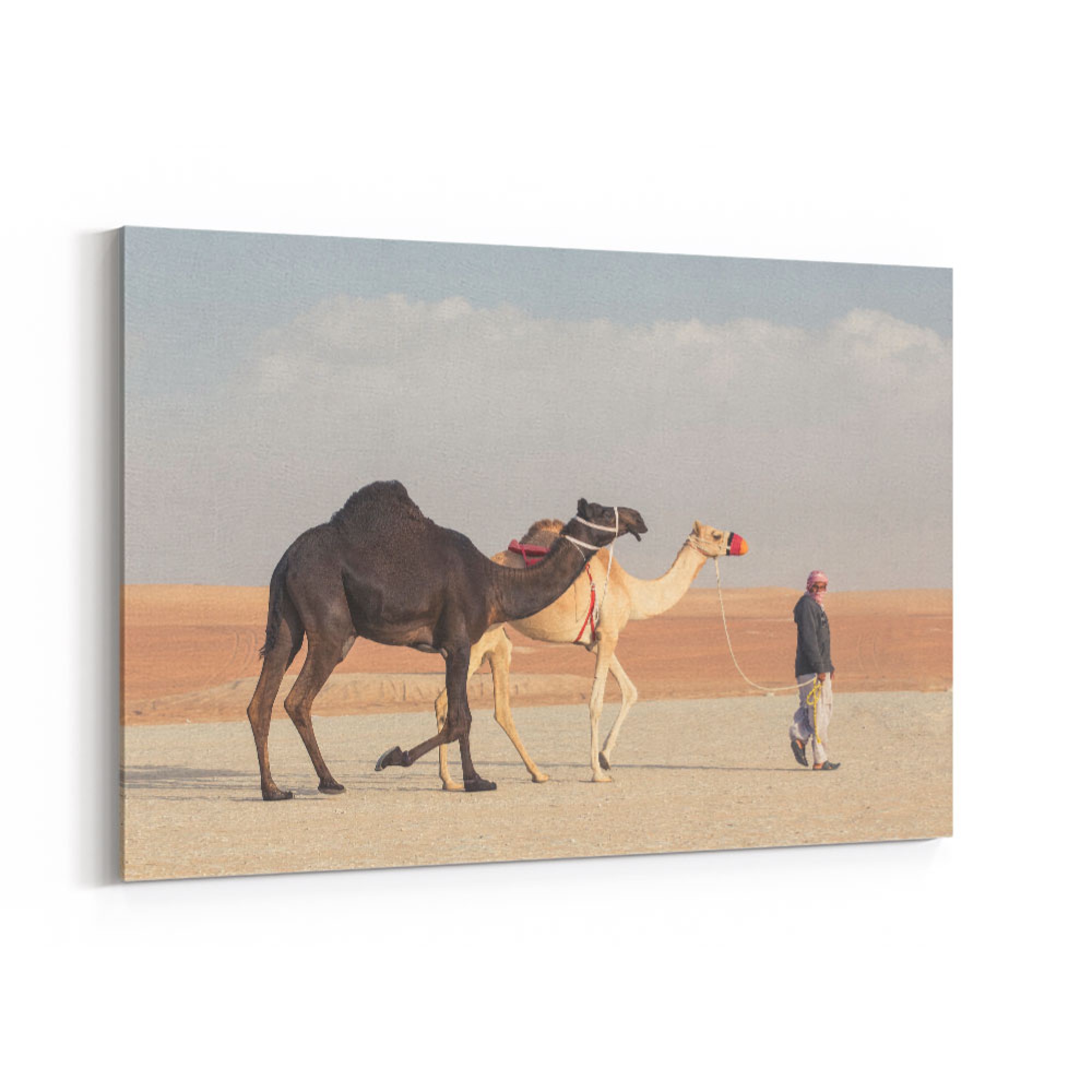 Black & White Camels Wall Art