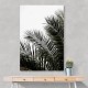 Palm Leaves 3 Wall Art