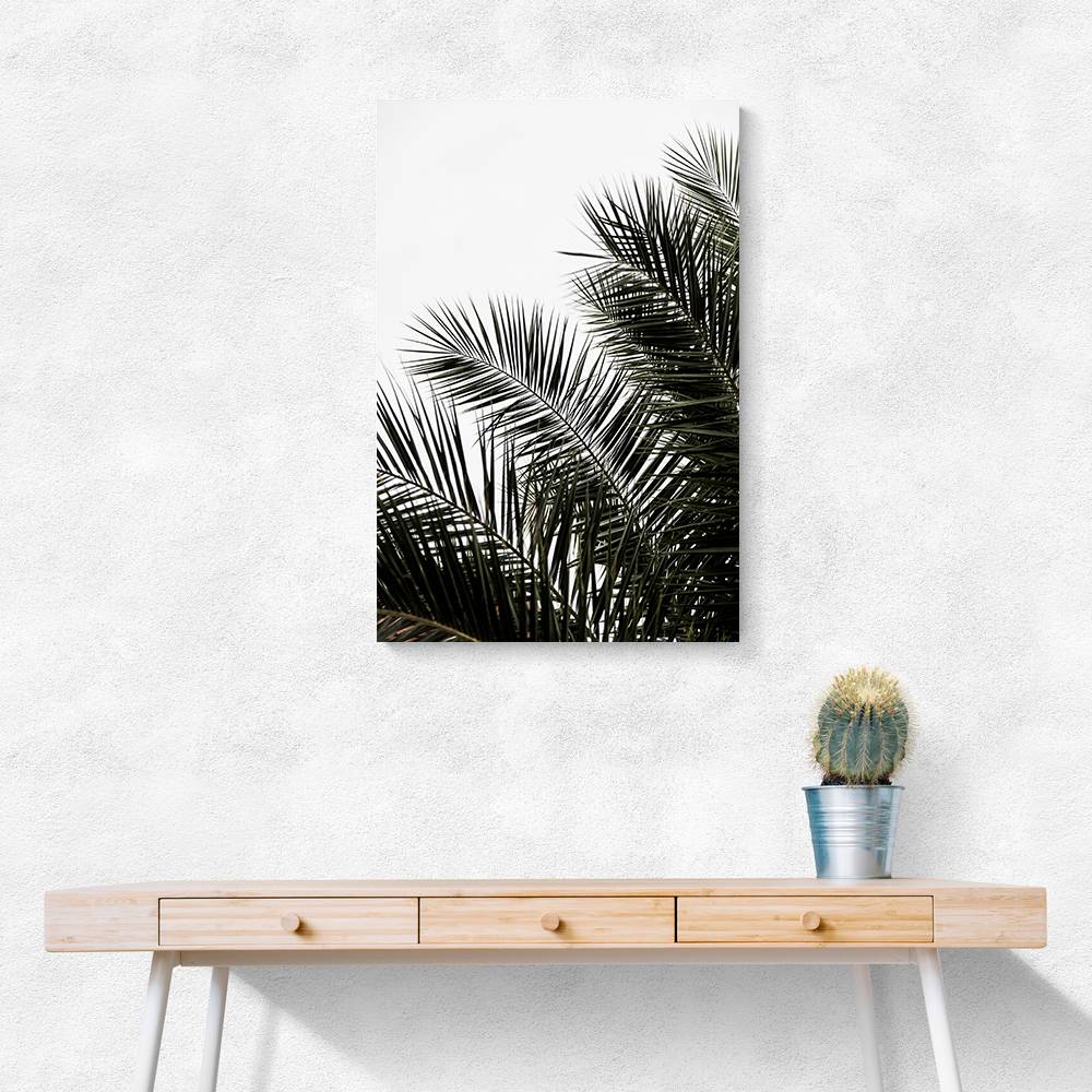 Palm Leaves 3 Wall Art