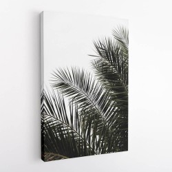 Palm Leaves 3 Wall Art