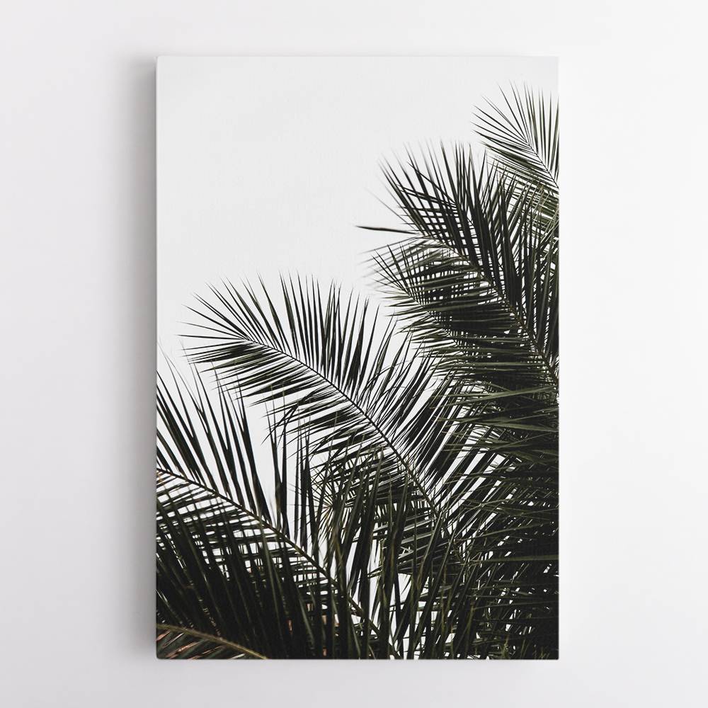 Palm Leaves 3 Wall Art