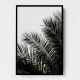 Palm Leaves 3 Wall Art