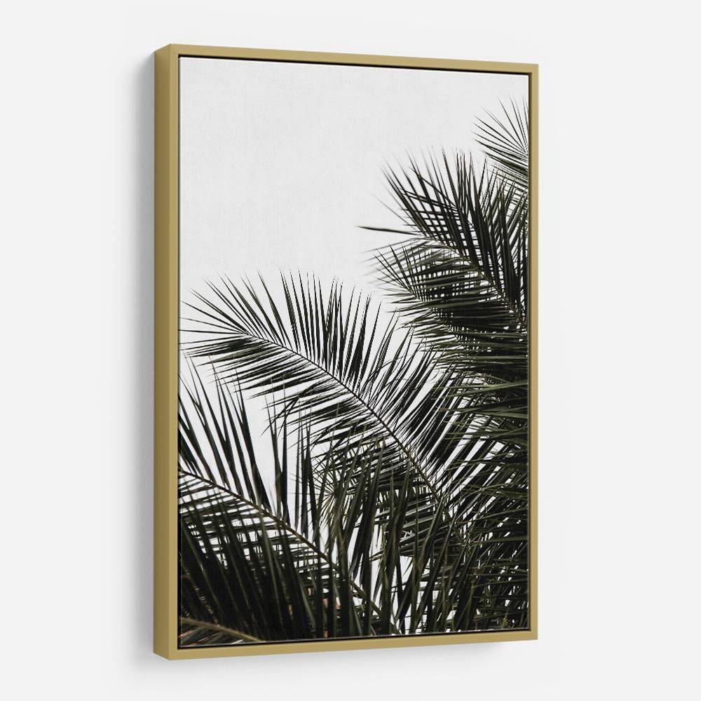 Palm Leaves 3 Wall Art